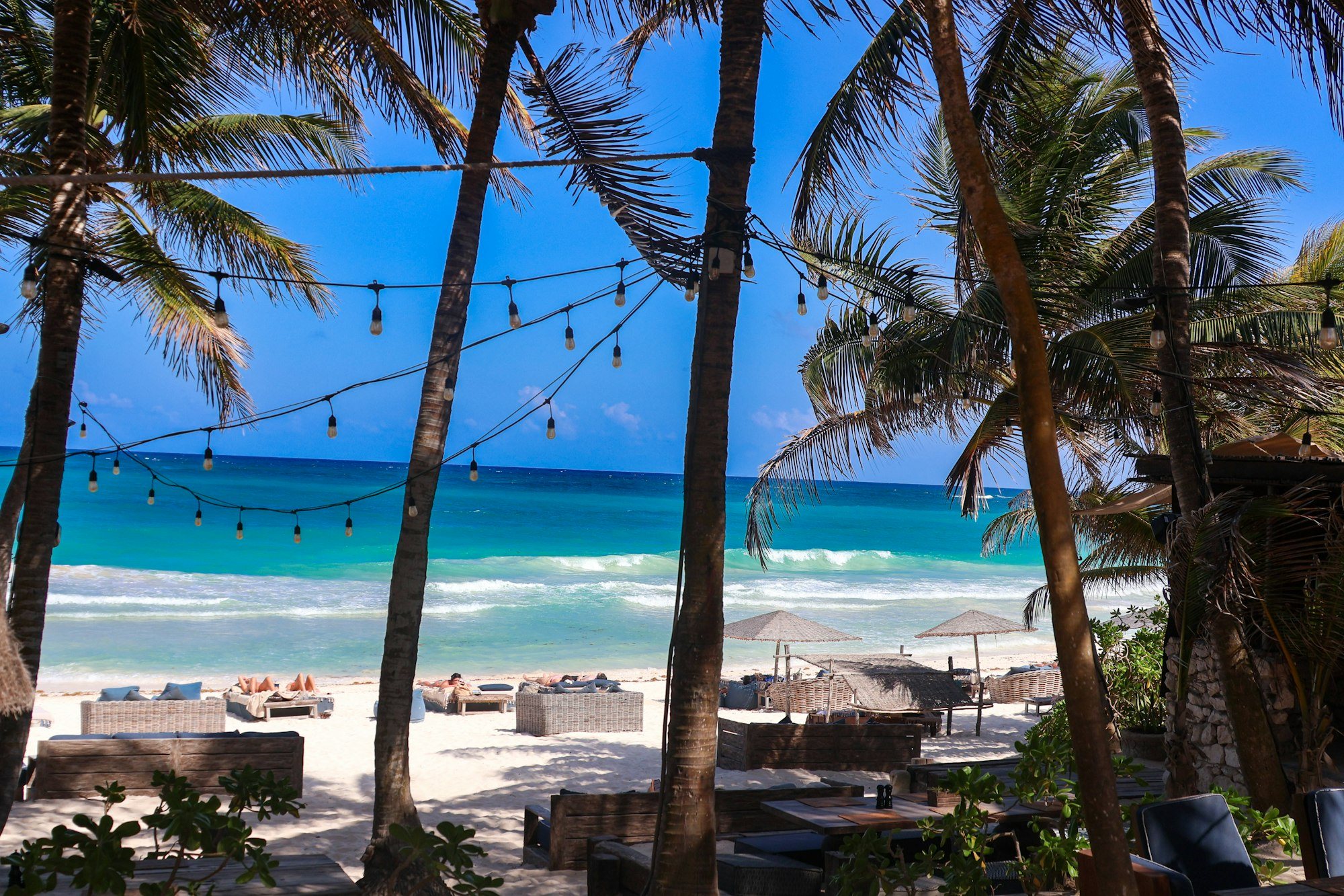 Palm trees and string lights over a turquoise sea on the beach in Tulum