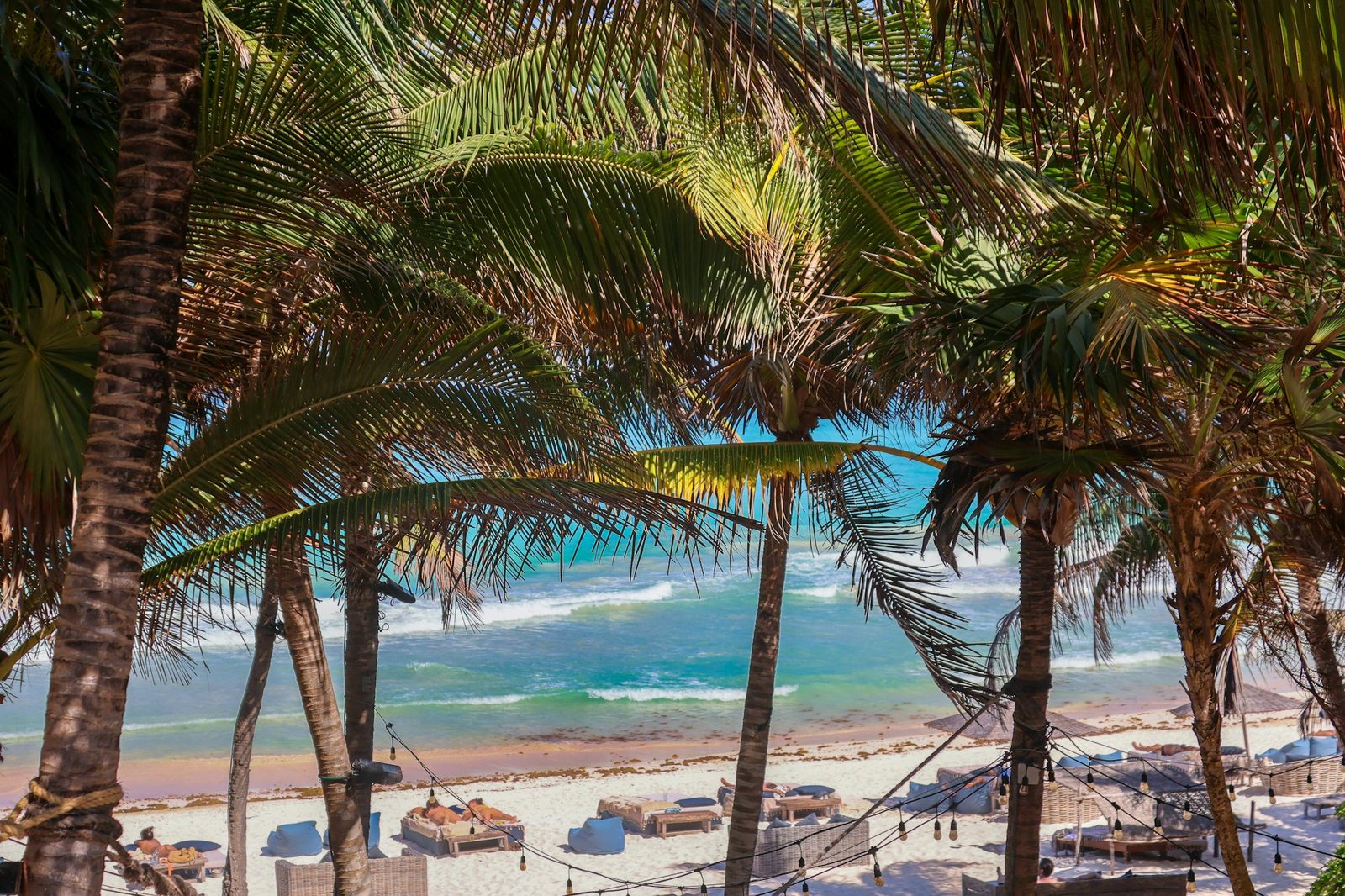 Palm trees over a turquoise sea on the beach in Tulum, Mexico